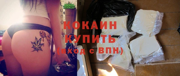 трава Аркадак