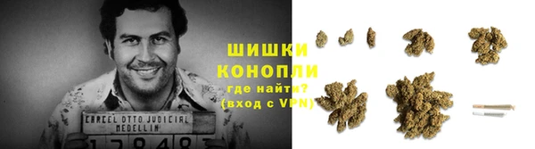 трава Аркадак