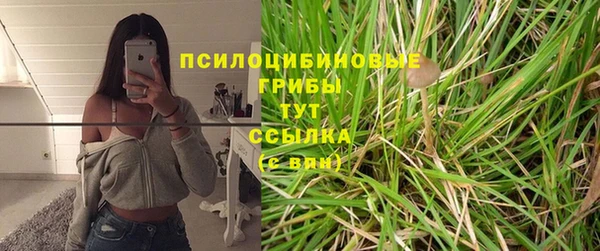 трава Аркадак