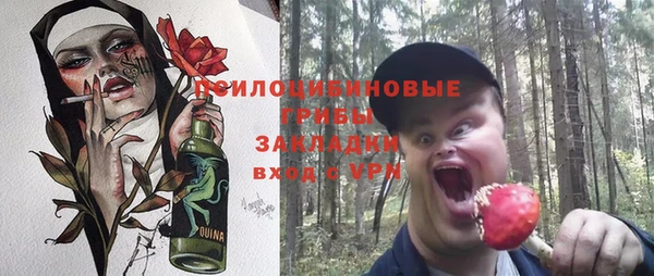 spice Арсеньев