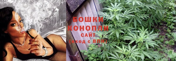 трава Аркадак