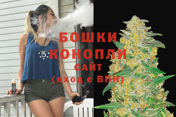 трава Аркадак
