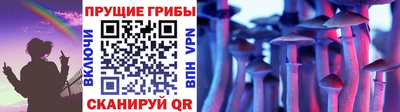 Галлюциногенные грибы прущие грибы  Зубцов 