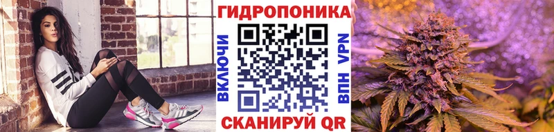 как найти наркотики  Зубцов  Канабис ГИДРОПОН 
